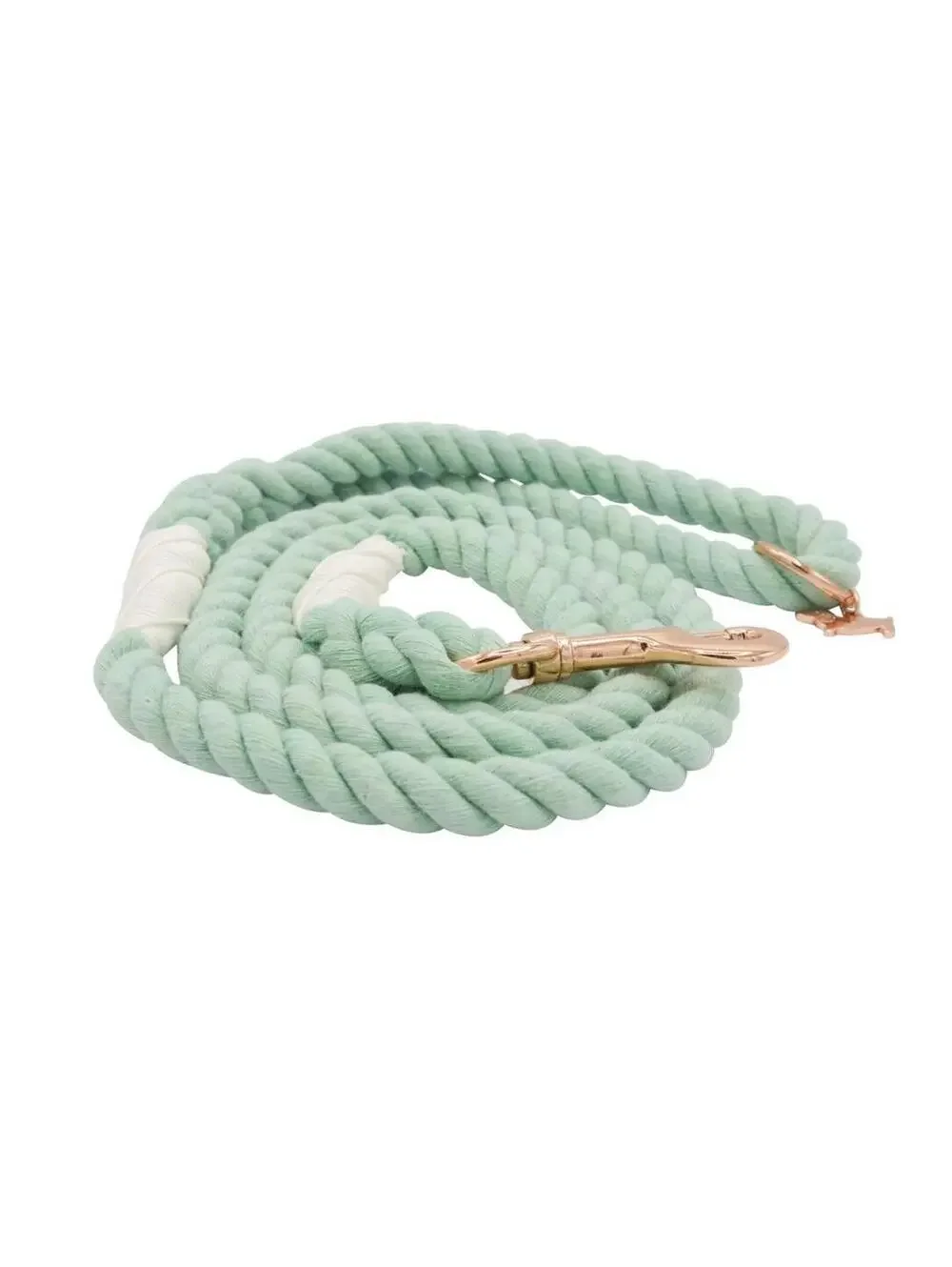 (RGB3) Sassy Woof Mint To Be Braided Rope Dog Leash 5ft Green Gray Rose Gold